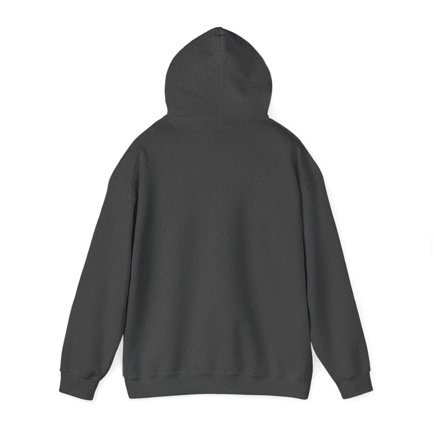 Dinosaur Safari - Unisex Heavy Blend™ Hoodie